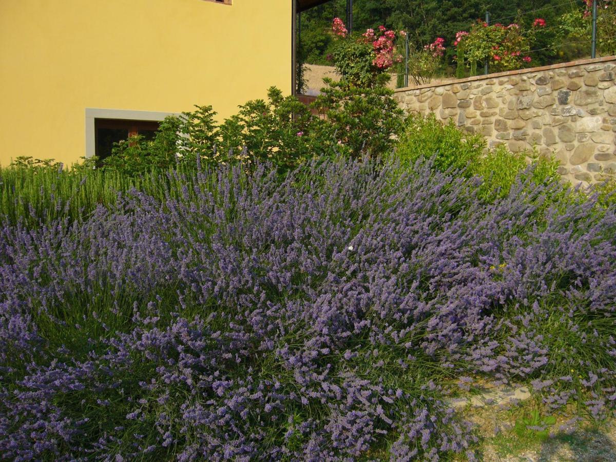 Agriturismo Podere Filicaia San Giovanni Valdarno Exterior photo